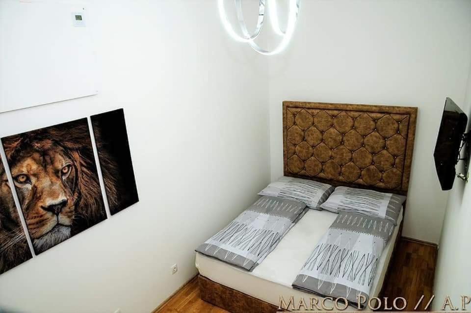 Markopolo Apartments Wien Eksteriør bilde